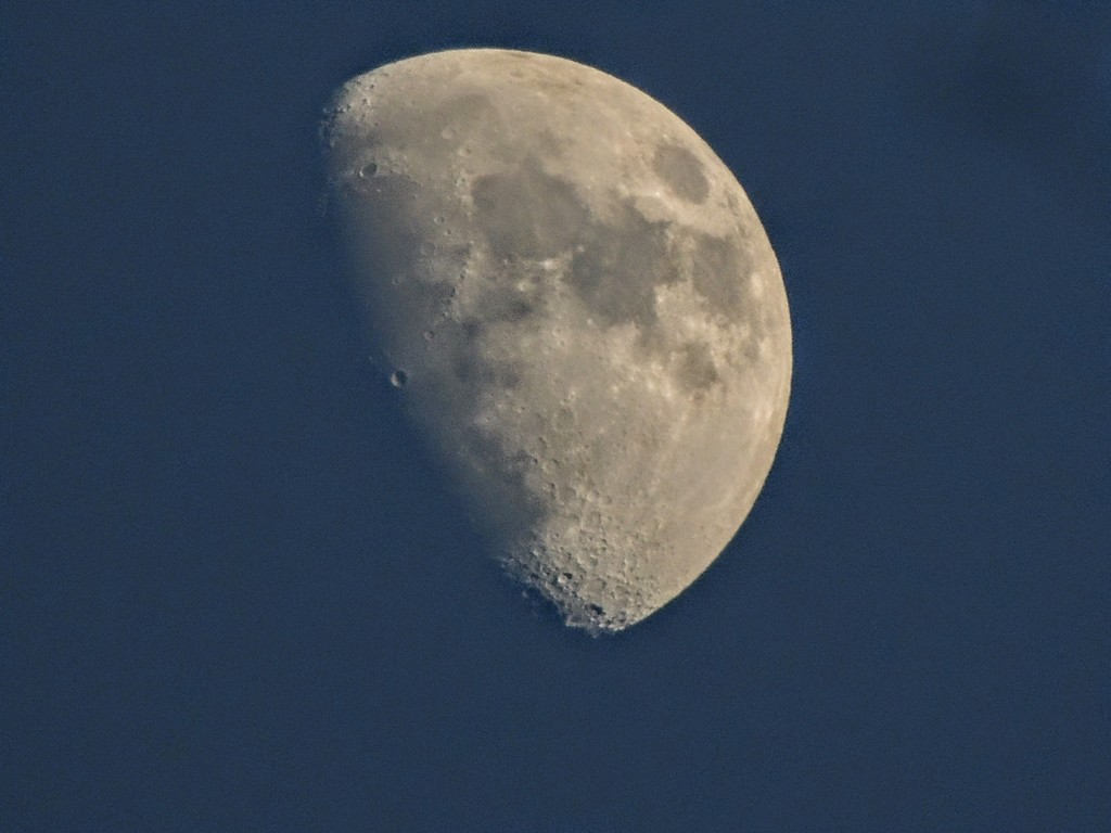月