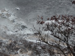 箱根   − 大涌谷