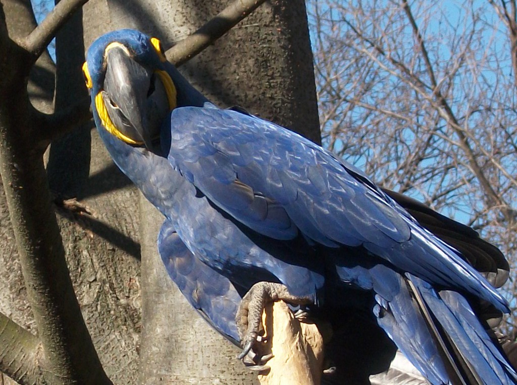 動物園