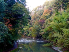 養老渓谷