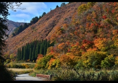 autumn scenery
