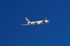 B787