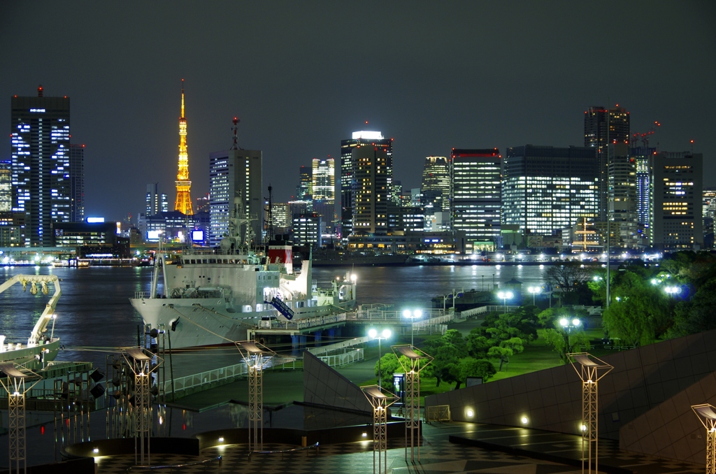 緑と夜景