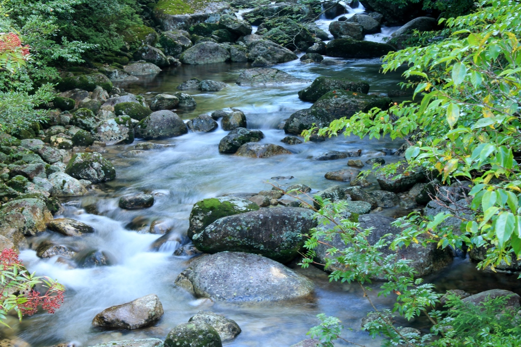 屋久島