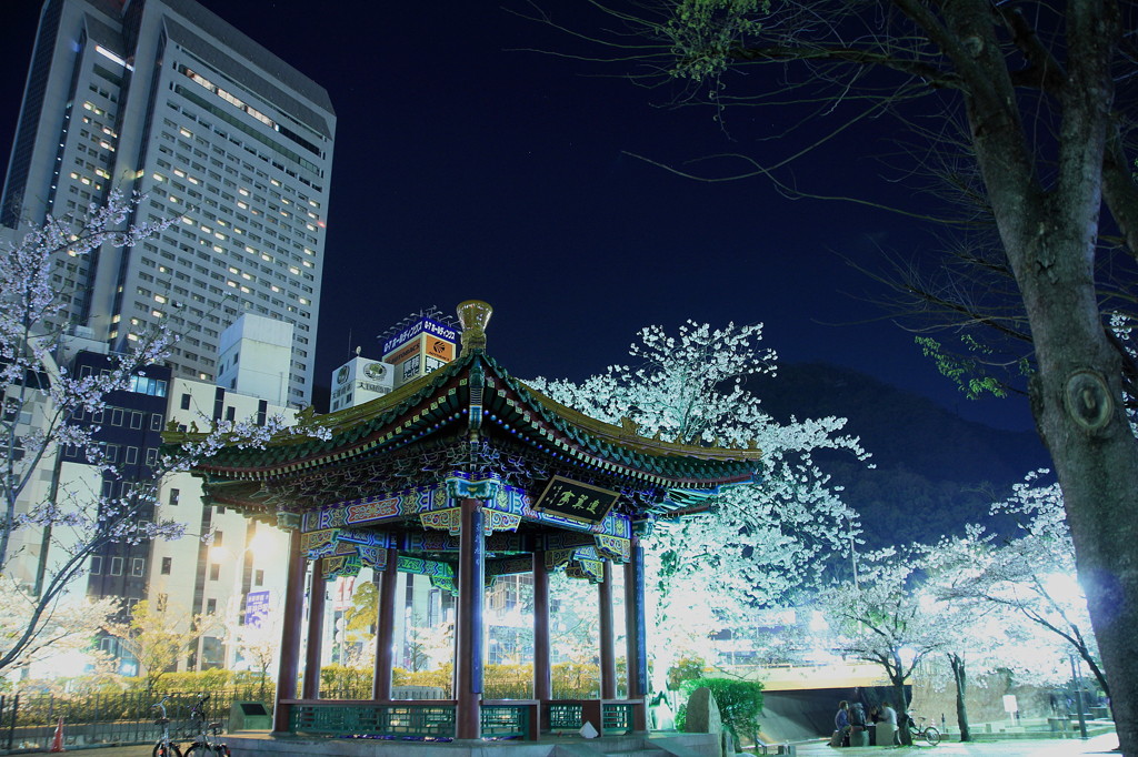 夜桜生田川