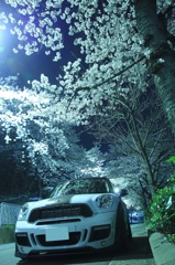 夜桜とR60
