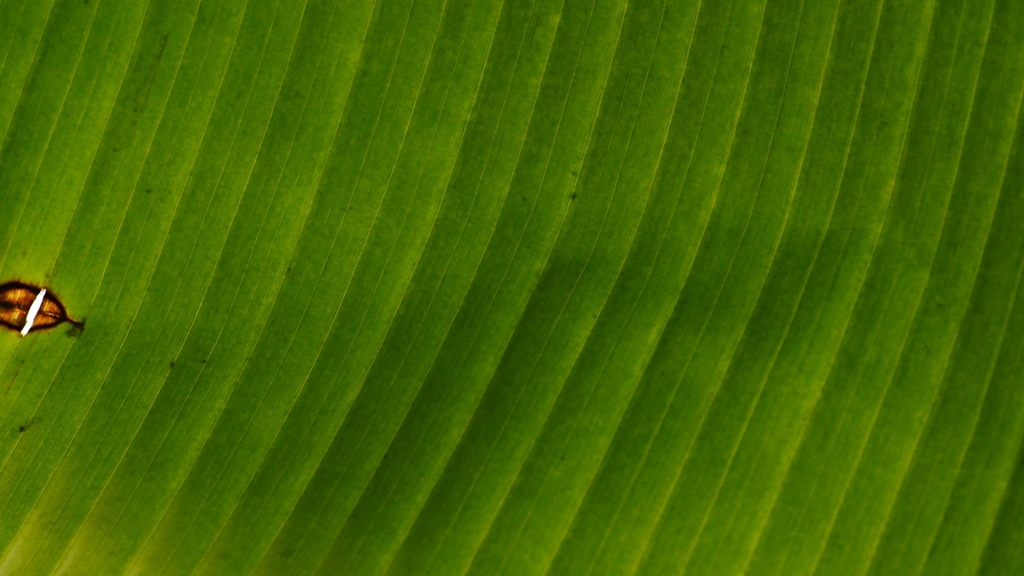 _DSC5740_R