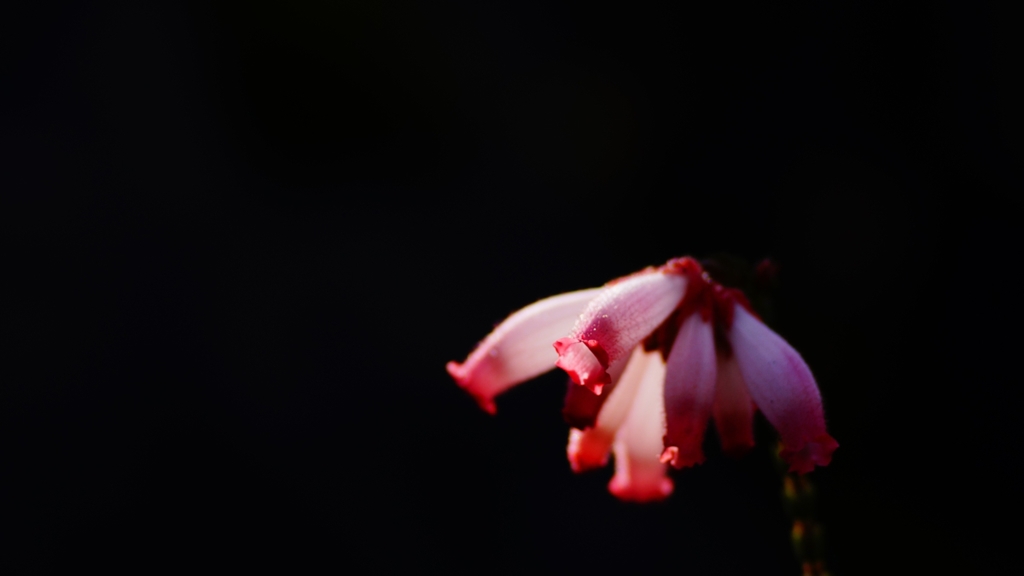 _DSC6759_R