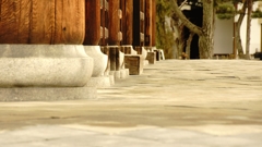 東福寺　４