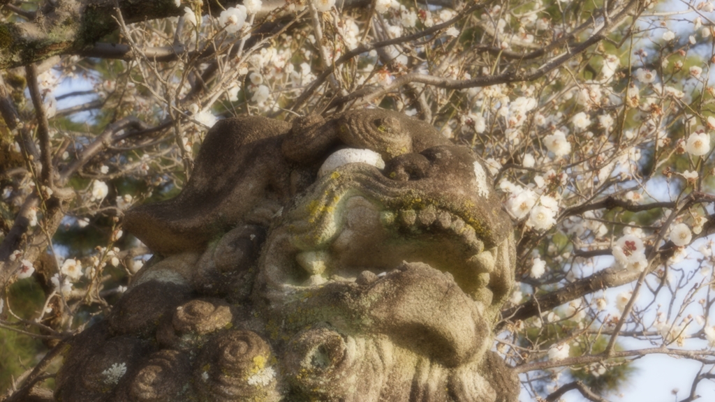 東門の獅子　北野天満宮