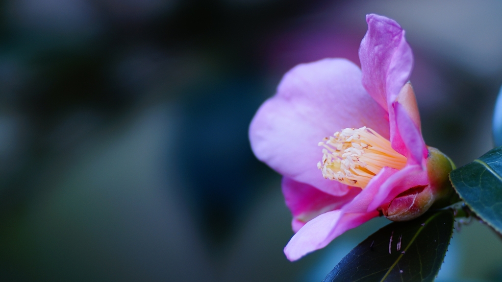 _DSC5568_R