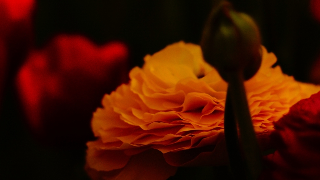 _DSC6643_R