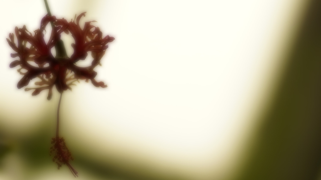 _DSC5728_R