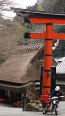 鳥居と郵便やさん