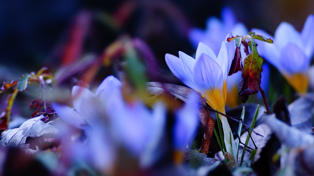 _DSC5522_R