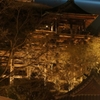 茶店越しの舞台