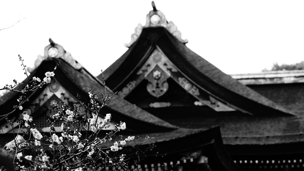 梅と本殿