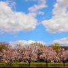 向こう岸は成城