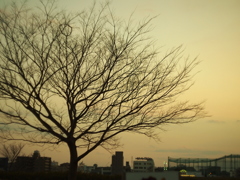 わっか