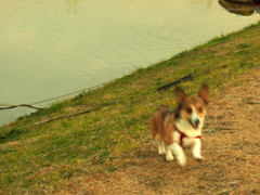 b8c44128-393d-11e2-897f-00262d09affa_ori