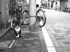 緊張感