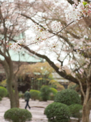 静寂