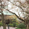静寂