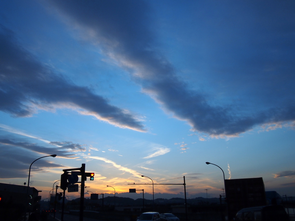 冬の多摩川