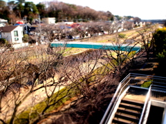 ジオラマな野川