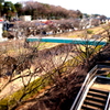 ジオラマな野川