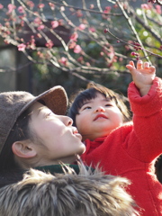 梅に触れる