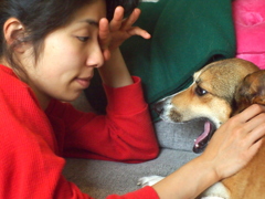 春眠暁を覚えず　な朝