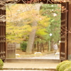 残る桜も　散る桜