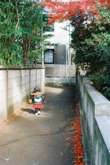 吾が道
