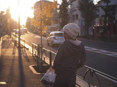夕暮れ散歩