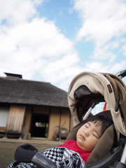 至福の昼寝