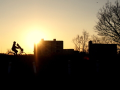 多摩川の夕日
