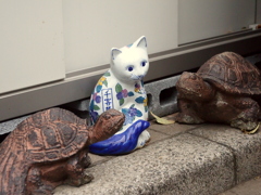 目が怖いおきもの