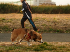 すれ違い
