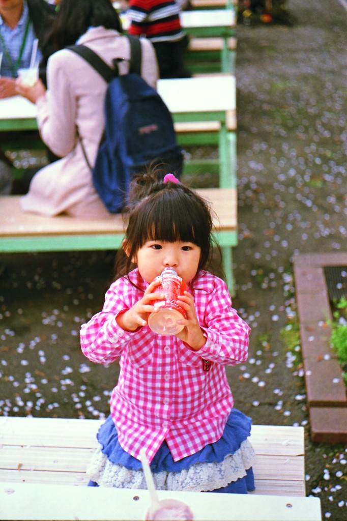 ぐいぐい飲む