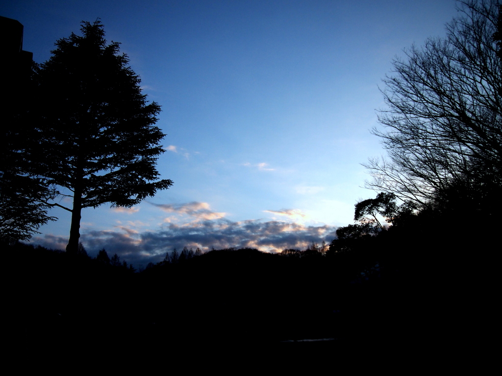 生田緑地の夕暮れ