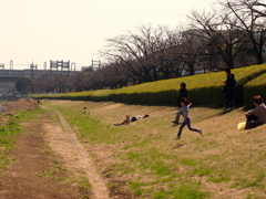 春を待ちきれなくて