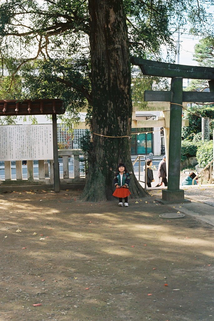 永遠の背比べ