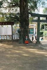 永遠の背比べ