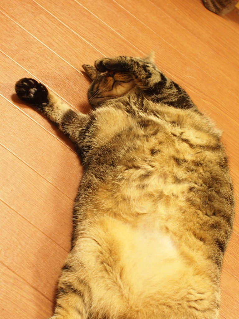 酔ったおっさん（♀）