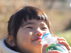 冬の日差し