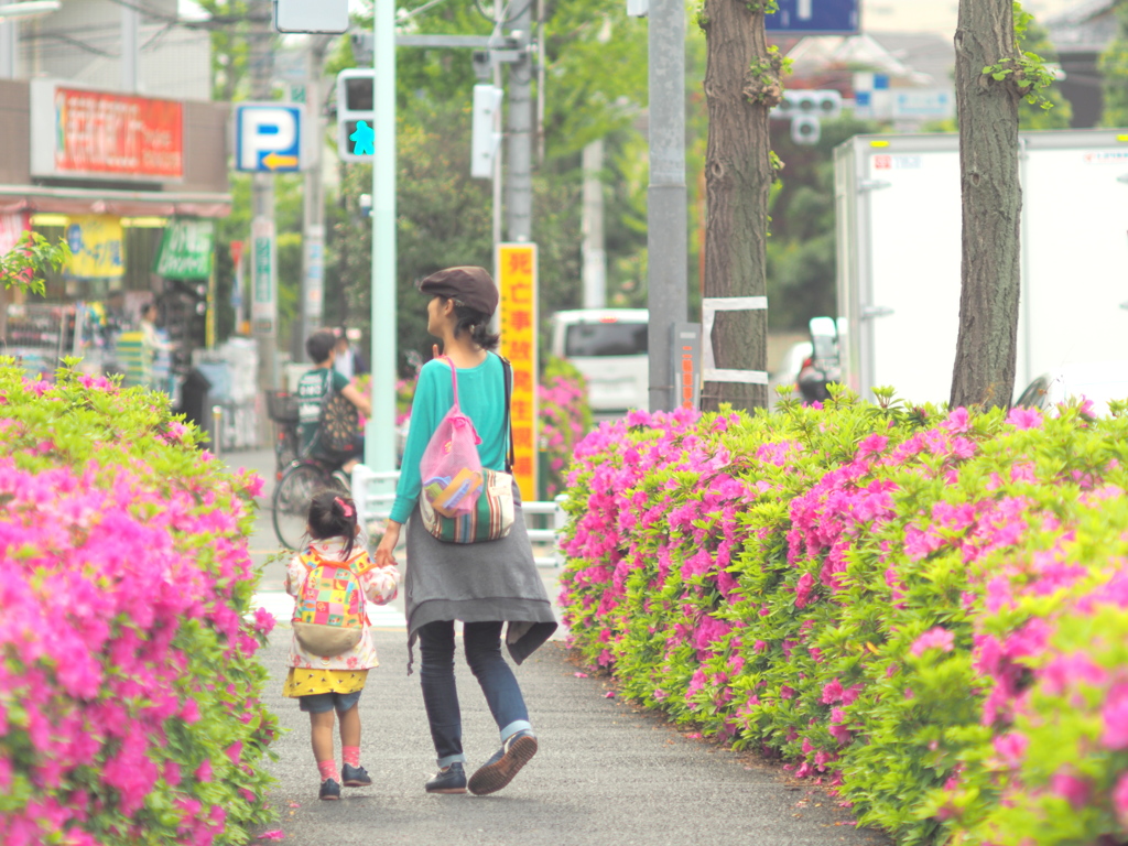 雨上がりの花道