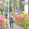 雨上がりの花道