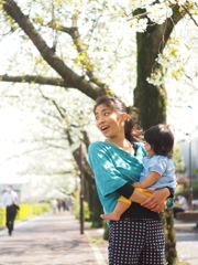 対岸の桜