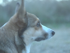 e13cfa0a-393d-11e2-bcb7-00262d09affa_ori